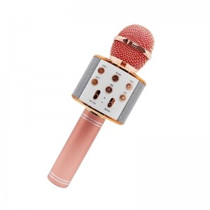 Ασύρματο Μικρόφωνο Hifi Speaker WS-858 (Rose Gold)