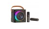  Wireless Bluetooth Portable Dual Karaoke Microphone RGB Speaker Havit SK822BT  (Μαύρο)