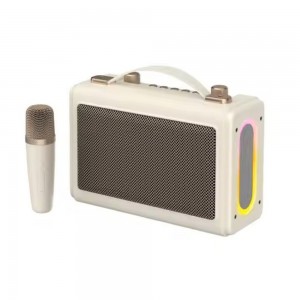Retro Portable Karaoke Bluetooth Speaker Havit SK823BT