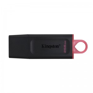 Kingston DataTraveler Exodia 256GB USB 3.2 (Μαύρο) 